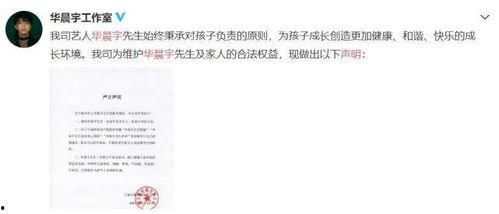 娱乐圈吃瓜的文件,幕后真相与明星隐私曝光